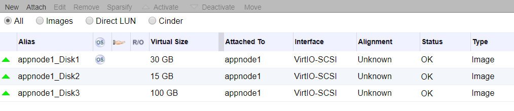 ocp_disks_app